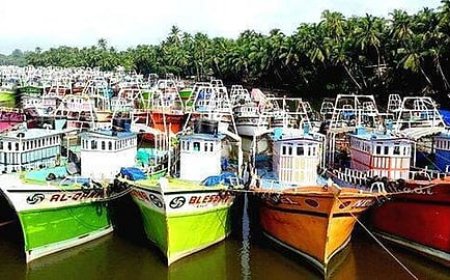No trawlers, less fish: Kerala braces for price rise of a favourite staple