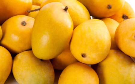 Indian mangoes spark summer rush across US