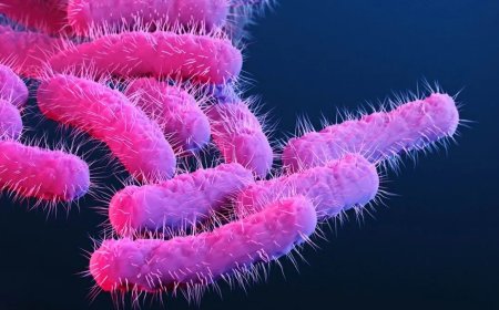 Kerala tightens vigil as Nipah alert coincides with Shigella outbreak