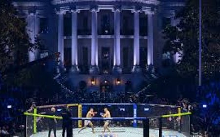 വൈറ്റ് ഹൗസിലെ UFC പരിപാടിക്കെതിരെ ആക്രമണശ്രമം; FBI നടപടി
