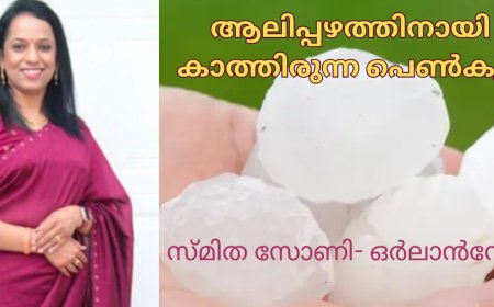 ആലിപ്പഴത്തിനായി കാത്തിരുന്ന പെൺകുട്ടി