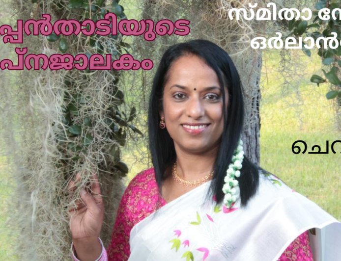അപ്പൂപ്പൻതാടിയുടെ സ്വപ്‌നജാലകം:  ചെറുകഥ 