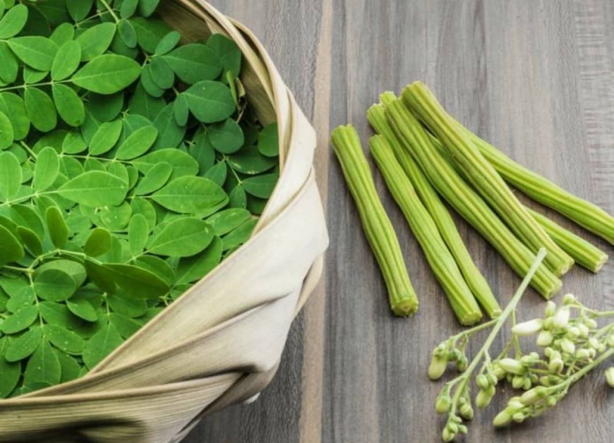 Australia, New Zealand ban moringa