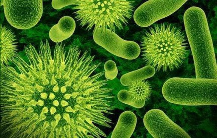 Health Dept issues stark warning amid rising infectious diseases in Kerala