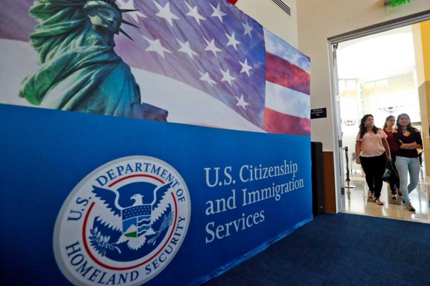Trump's $100,000 H-1B Visa fee law struck down, judge says it's "unlawful"