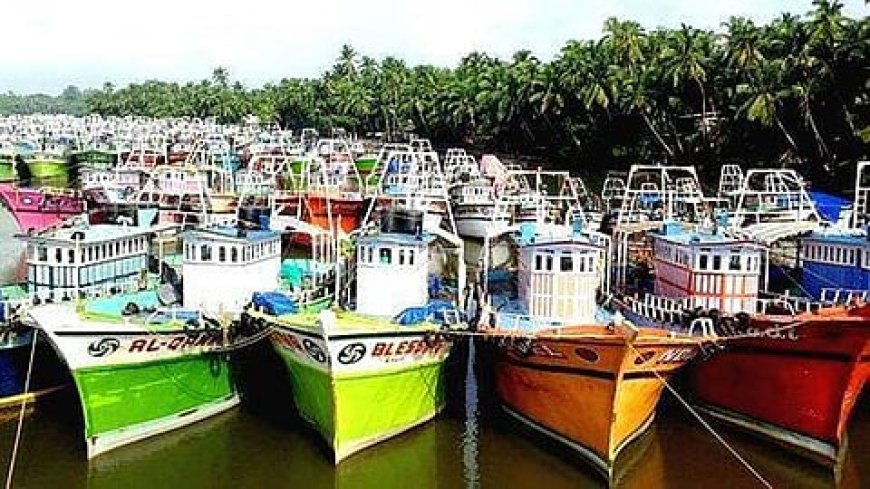No trawlers, less fish: Kerala braces for price rise of a favourite staple