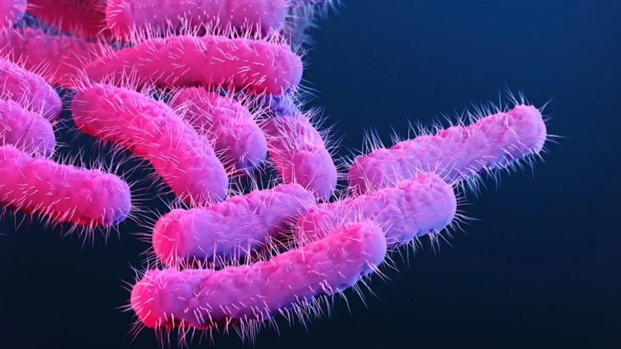 Kerala tightens vigil as Nipah alert coincides with Shigella outbreak