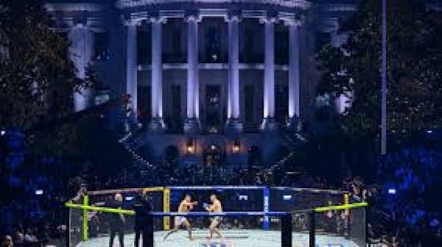 വൈറ്റ് ഹൗസിലെ UFC പരിപാടിക്കെതിരെ ആക്രമണശ്രമം; FBI നടപടി