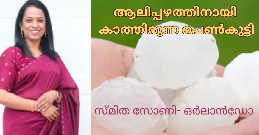 ആലിപ്പഴത്തിനായി കാത്തിരുന്ന പെൺകുട്ടി