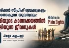 അമേരിക്കൻ സ്പ്രിംഗ് ബ്രേക്കുകളും കാണാതാകുന്ന യുവത്വവും: ലഹരിയുടെ കാണാക്കയങ്ങളിൽ പൊലിയുന്ന ജീവനുകൾ