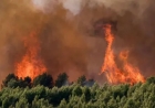 France records 2,025 excess deaths at peak of heatwave as Europe braces for more extreme weather