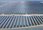 China has a solar power surplus we could only dream of — but it's going to waste