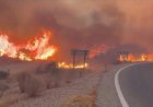 At least 11 dead and 19 missing in wildfire in southern Spain
