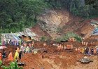 കള്ളാടി മണ്ണിടിച്ചിൽ: മരിച്ചവരുടെ കുടുംബങ്ങൾക്ക് 6 ലക്ഷം വീതം; പരിക്കേറ്റവർക്കും നിര്‍മ്മാണ കമ്പനിയുടെ സഹായം