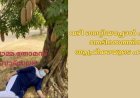 വഴി തെറ്റിയപ്പോൾ എന്നെ തേടിയെത്തിയ ആഫ്രിക്കയുടെ ഹൃദയം