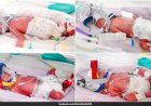 Australian woman gives birth to quadruplet girls, now seeking help to buy 10-seater car