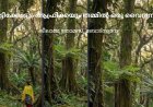 വെട്ടിക്കോട്ടും ആഫ്രിക്കയും തമ്മിൽ ഒരു വൈദ്യസന്ധി :  ലീലാമ്മ തോമസ്, ബോട്സ്വാന