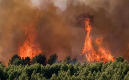 France records 2,025 excess deaths at peak of heatwave as Europe braces for more extreme weather