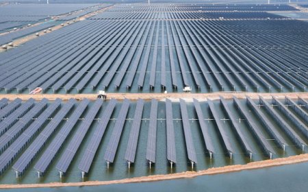 China has a solar power surplus we could only dream of — but it's going to waste