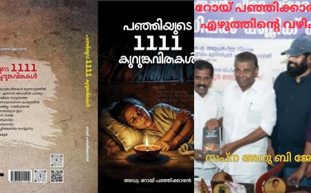 റോയ് പഞ്ഞിക്കാരന്റെ എഴുത്തിന്റെ വഴികൾ