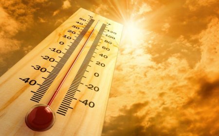ന്യൂ ജേഴ്സിയിൽ കടുത്ത ഉഷ്ണതരംഗം: 25 പേർ മരിച്ചതായി സംശയം