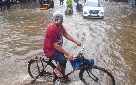 Heavy rainfall lashes Maharashtra, Palghar records 203 mm, rivers cross danger marks