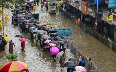 Mumbai receives more rain in a week than Delhi gets in a year, nears Bengaluru's annual total