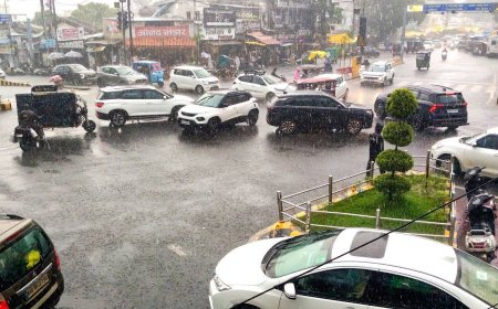 Heavy rain, strong winds likely in Nilgiris as low-pressure trough influences TN weather
