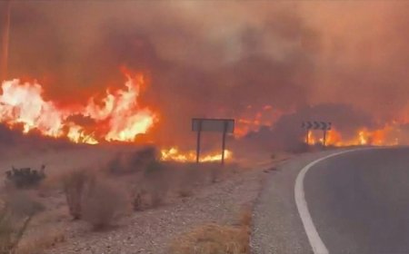 At least 11 dead and 19 missing in wildfire in southern Spain