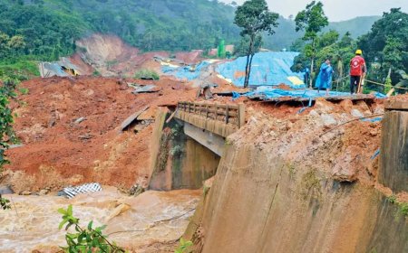 HC orders immediate relief as Wayanad toll rises to seven