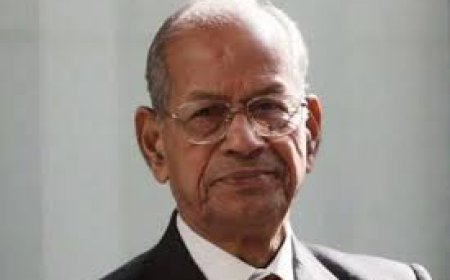 ഇ. ശ്രീധരന്റെ അതിവേഗ പാത; മാറ്റങ്ങൾ നിർദ്ദേശിച്ച് വിദ​ഗ്ധ സമിതി