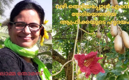 വഴി തെറ്റിയപ്പോൾ എന്നെ തേടിയെത്തിയ ആഫ്രിക്കയുടെ ഹൃദയം