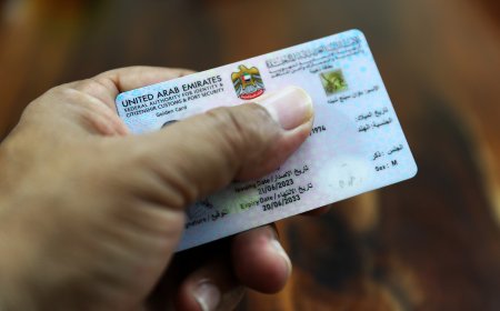 Why Emirates ID is required for expats flying back to UAE