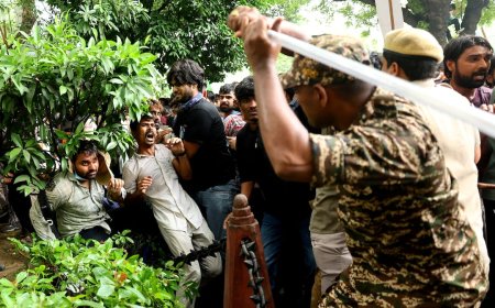 Police use tear gas to stop march on Parliament by Cockroach movement supporters