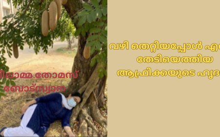 വഴി തെറ്റിയപ്പോൾ എന്നെ തേടിയെത്തിയ ആഫ്രിക്കയുടെ ഹൃദയം