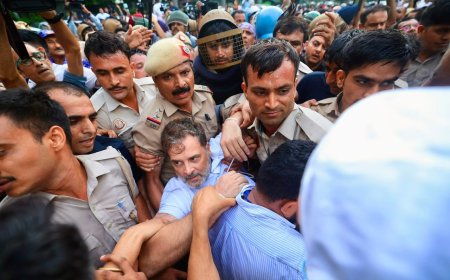 Rahul Gandhi, Priyanka, top Cong leaders detained from protest site, seen bleeding from nose