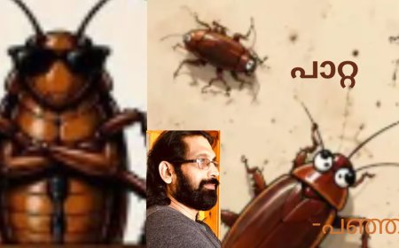 പാറ്റ ; കവിത, പഞ്ഞി