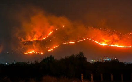 France orders evacuation of tourist spot as hundreds flee wildfires by boat