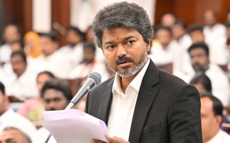 വിജയ്‌ക്ക് തിരിച്ചടി; കരൂർ ദുരന്തത്തിൽ മരിച്ചവരുടെ കുടുംബങ്ങൾക്ക് സർക്കാർ ജോലി നൽകാനുള്ള ഉത്തരവ് റദ്ദാക്കി ഹൈക്കോടതി