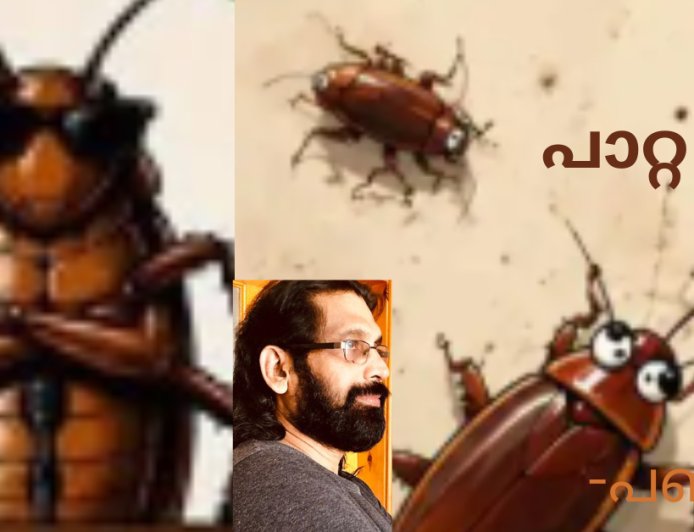 പാറ്റ ; കവിത, പഞ്ഞി