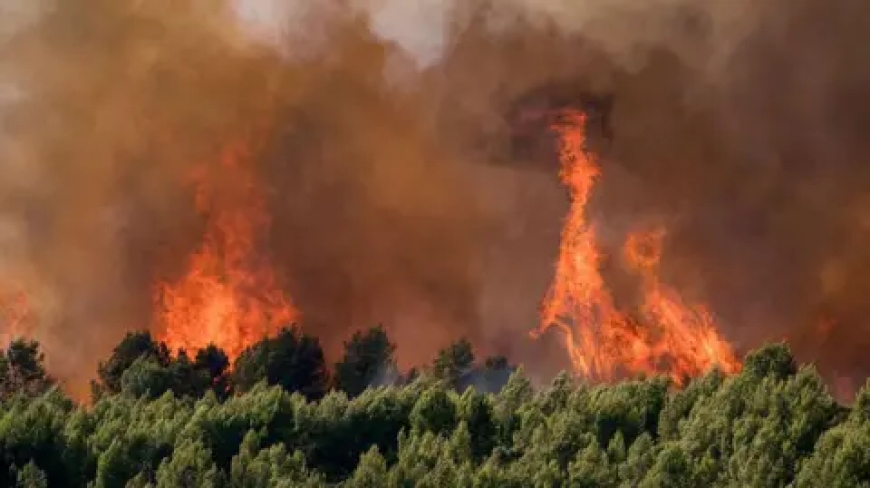 France records 2,025 excess deaths at peak of heatwave as Europe braces for more extreme weather