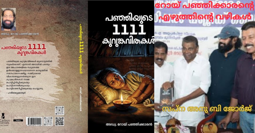 റോയ് പഞ്ഞിക്കാരന്റെ എഴുത്തിന്റെ വഴികൾ