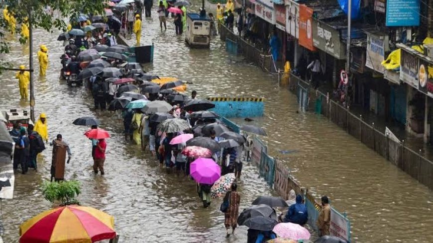 Mumbai receives more rain in a week than Delhi gets in a year, nears Bengaluru's annual total