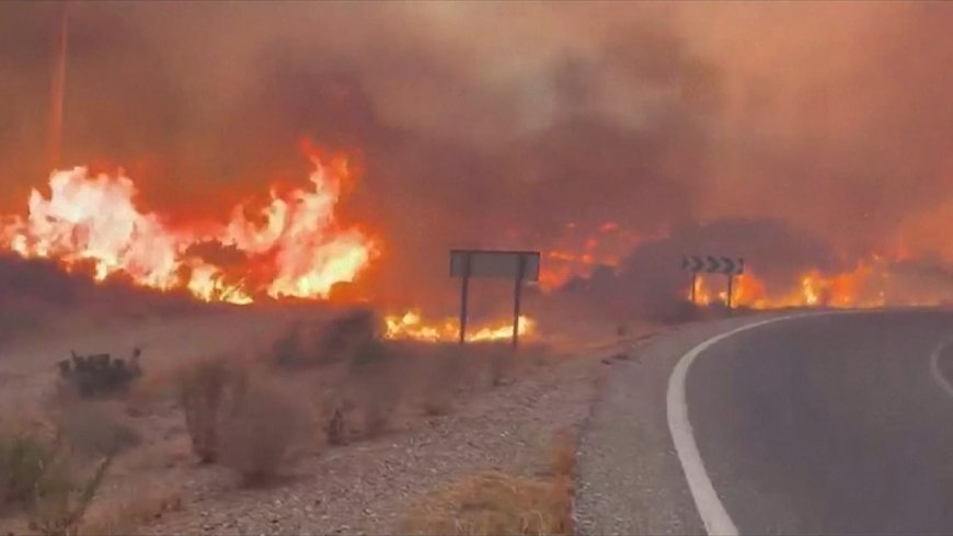 At least 11 dead and 19 missing in wildfire in southern Spain