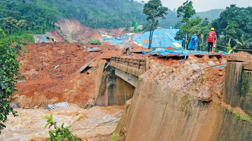 HC orders immediate relief as Wayanad toll rises to seven