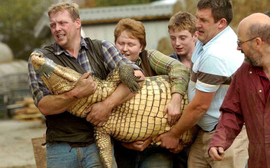 Boy thrown into crocodile pit has had seven operations