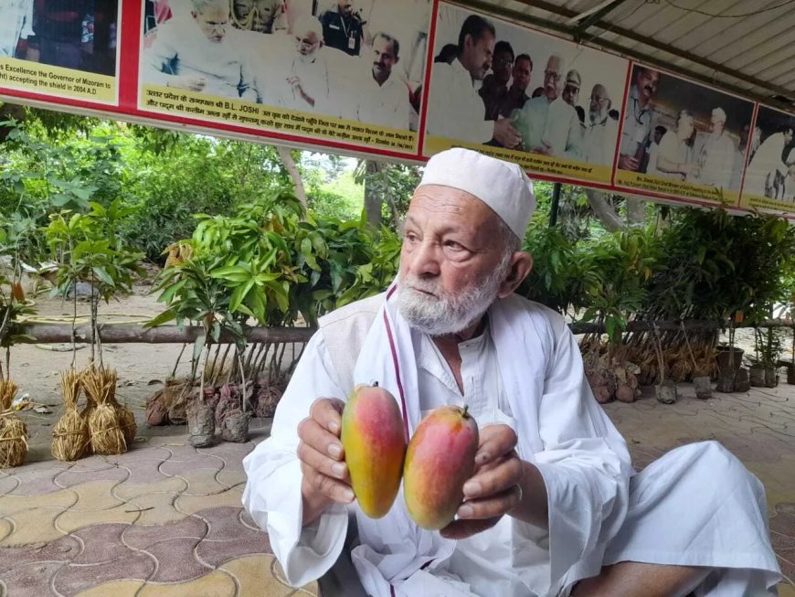 How India's 'Mango Man' grew more than 300 types of mangoes on just one tree