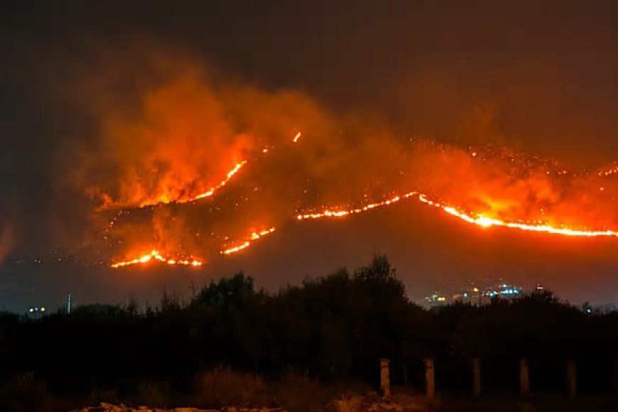 France orders evacuation of tourist spot as hundreds flee wildfires by boat