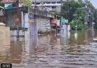 സംസ്ഥാനത്ത് നാളെയും തീവ്രമഴയ്ക്ക് സാധ്യത;  ജാഗ്രതാ നിര്‍ദേശം