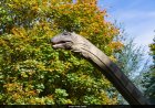Scientists discover new dinosaur species in Zimbabwe, shed light on early evolution